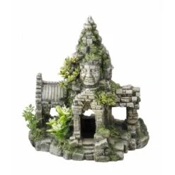 Aqua D'ella Angkor Wat