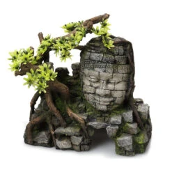 Aqua D'ella Angkor Wat Met Planten