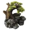 Aqua D'ella Bonsai Boom Op Rots