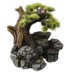 Aqua D'ella Bonsai Boom Op Rots