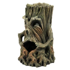 Aqua D'ella Boom Met Gezicht