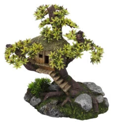 Aqua D'ella Boomhut Met Planten