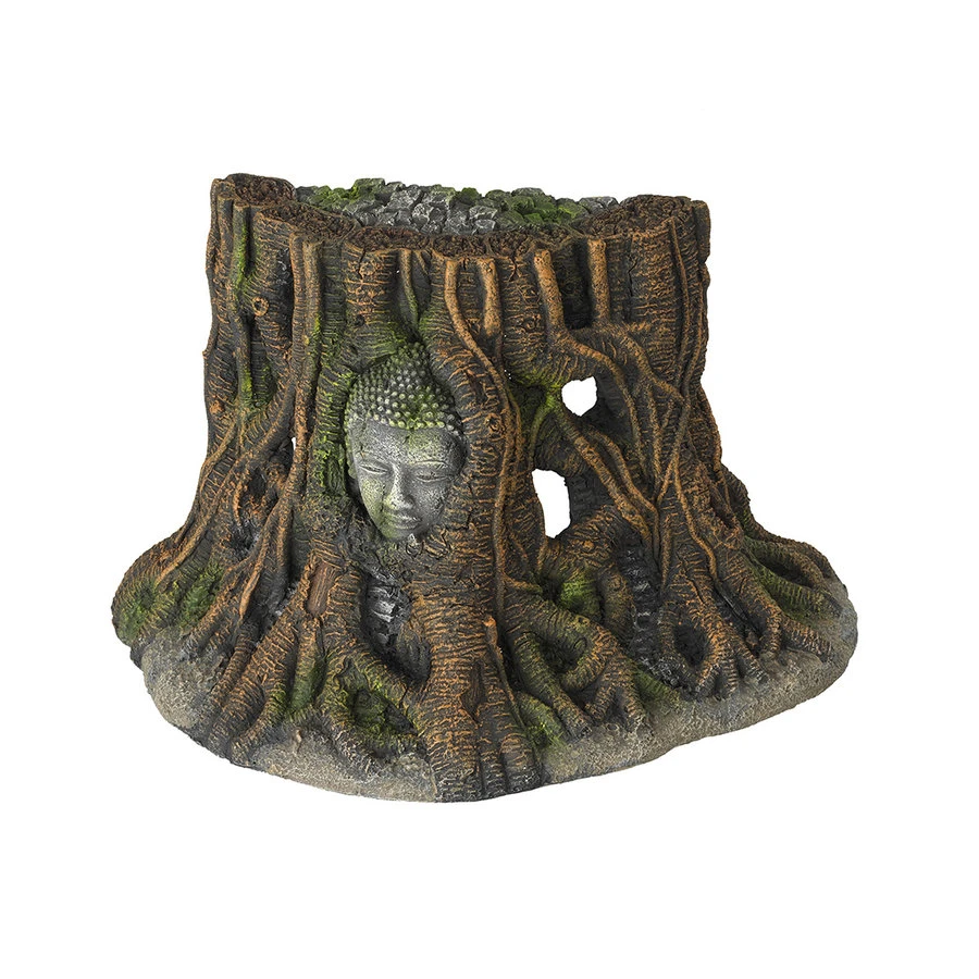 Aqua D'ella Buddha Boom Thailand 1 Aqua D'ella Buddha Boom Thailand