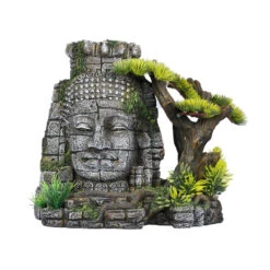 Aqua D'ella Buddha Hoofd