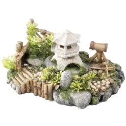 Aqua D'ella Chinese Tuin Met Planten