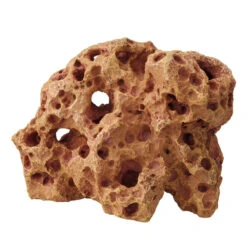 Aqua D'ella Colorado Steen