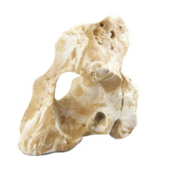 Aqua D'ella Combo Fellas