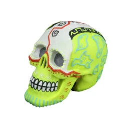 Aqua D'ella Dia De Los Muertos Schedel Meerkleurig
