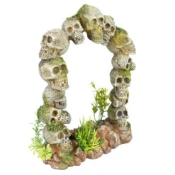 Aqua D'ella Doodshoofd Poort