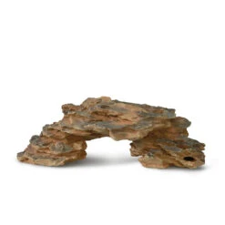 Aqua D'ella Draken Rots