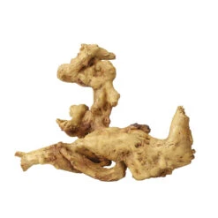 Aqua D'ella Koffiewortel Bruin -Trixie || Duvo || EXO TERRA Verkoopwinkel aqua della koffiewortel bruin 2