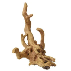 Aqua D'ella Koffiewortel Bruin