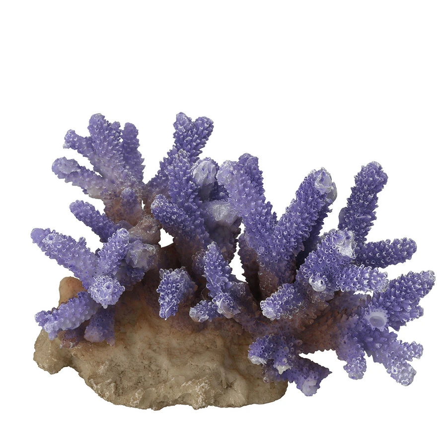 Aqua D'ella Koraal Acropora Donker Paars 1 Aqua D'ella Koraal Acropora Donker Paars