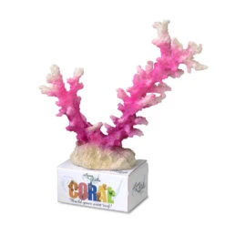 Aqua D'ella Koraal Module Staghorn Roze Wit