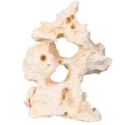 Aqua D'ella Limestone