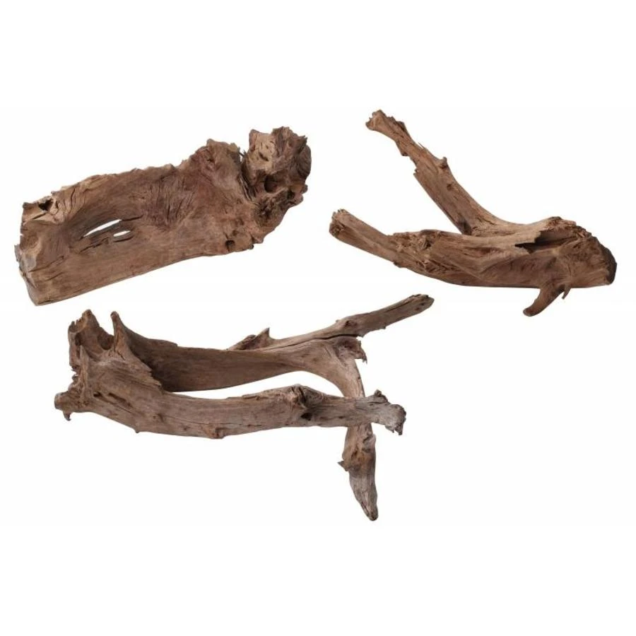 Aqua D'ella Mango Hout 2 Aqua D'ella Mango Hout - Afbeelding 2