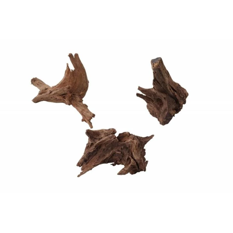 Aqua D'ella Mango Hout 1 Aqua D'ella Mango Hout