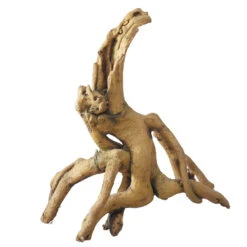 Aqua D'ella Mangrove