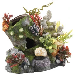 Aqua D'ella Olievat Bubbelaar