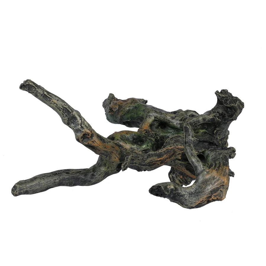 Aqua D'ella Schors 1 Aqua D'ella Schors