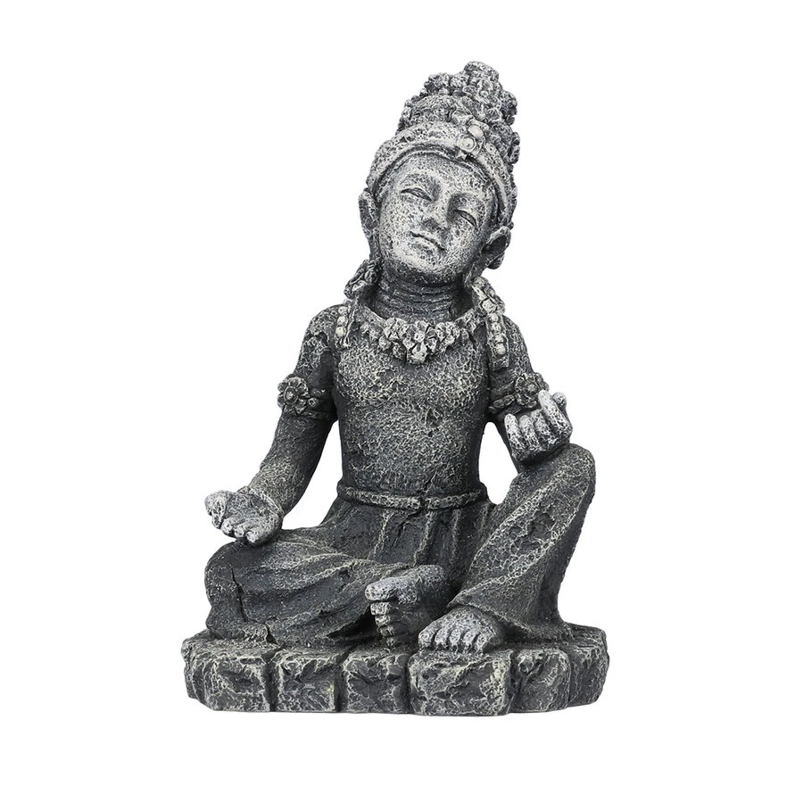 Aqua D'ella Siara 1 Aqua D'ella Siara