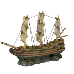 Aqua D'ella Spook Schip