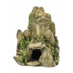 Aqua D'ella Steen Met Mos 19 Cm