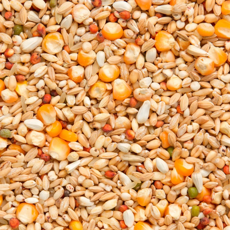 Beyers Elite Enzymix MS Recup 20 Kg 2 Beyers Elite Enzymix MS Recup 20 Kg - Afbeelding 2