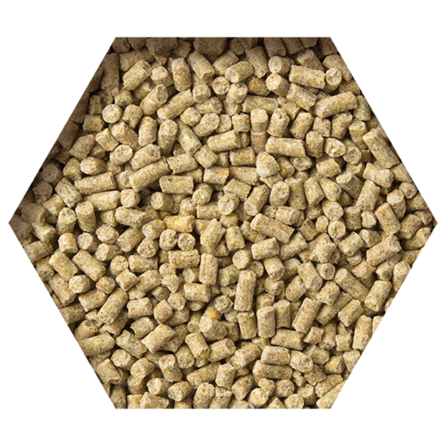 Beyers Goldcorn Koopman 2,5 Kg 1 Beyers Goldcorn Koopman 2,5 Kg