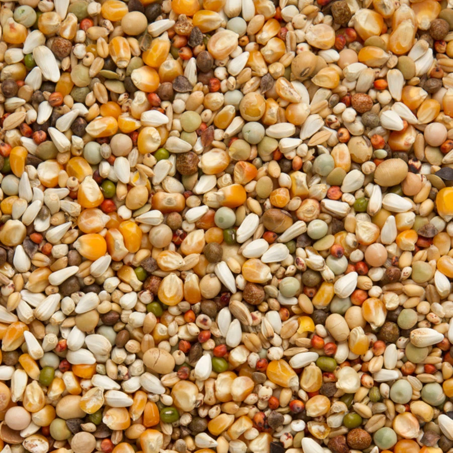 Beyers JanKeen Super Light 20 Kg 2 Beyers JanKeen Super Light 20 Kg - Afbeelding 2