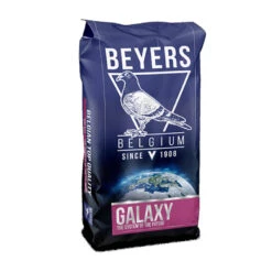 Beyers Kweek Galaxy 20 Kg