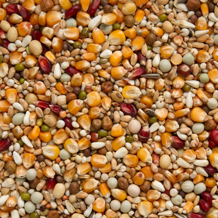 Beyers Long Distance TT Galaxy 20 Kg 1 Beyers Long Distance TT Galaxy 20 Kg