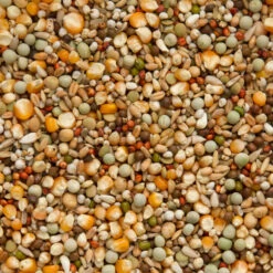 Beyers Premium Brilliant 20 Kg