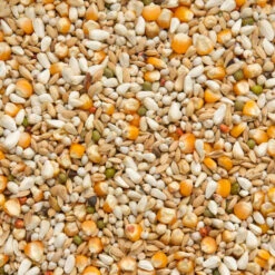 Beyers Premium Vandenabeele 20 Kg