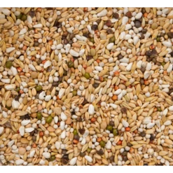 Beyers Premium Verkerk Light 20 Kg