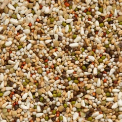 Beyers Premium Wal Zoontjens Yellow 25 Kg