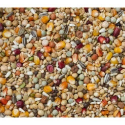 Beyers Rui Galaxy 20 Kg