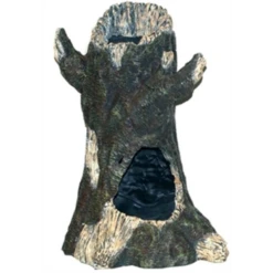 Boon Boomstronk Hoog Met Gat