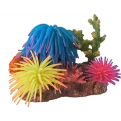 Boon Siliconenbloemen Met Rots En Schelp