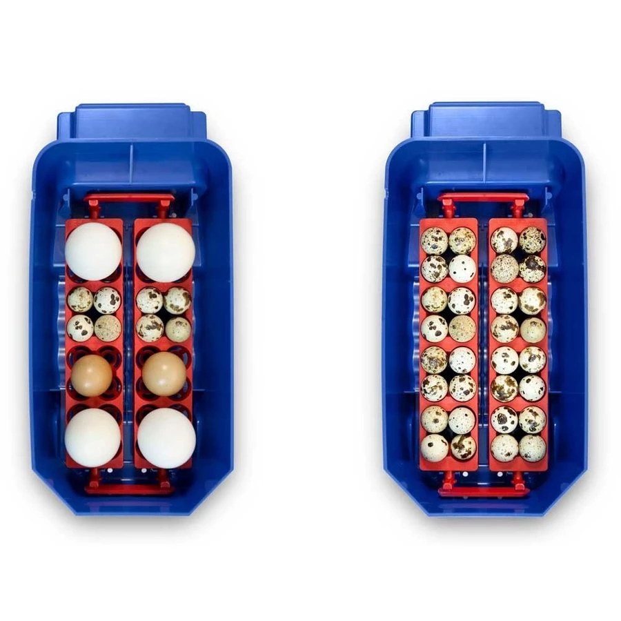 Borotto Lumia 8 Broedmachine 3 Borotto Lumia 8 Broedmachine - Afbeelding 3