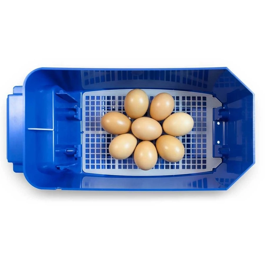 Borotto Lumia 8 Broedmachine 4 Borotto Lumia 8 Broedmachine - Afbeelding 4