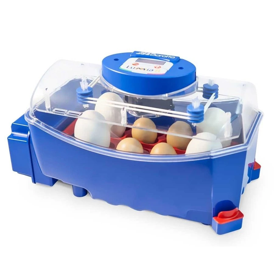 Borotto Lumia 8 Broedmachine 1 Borotto Lumia 8 Broedmachine