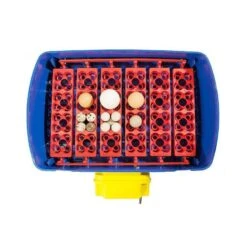 Borotto Real 24 Broedmachine 10 Borotto Real 24 Broedmachine -Trixie || Duvo || EXO TERRA Verkoopwinkel borotto real 24 broedmachine 2