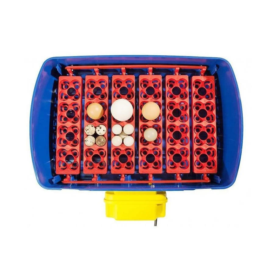 Borotto Real 24 Broedmachine 3 Borotto Real 24 Broedmachine - Afbeelding 3