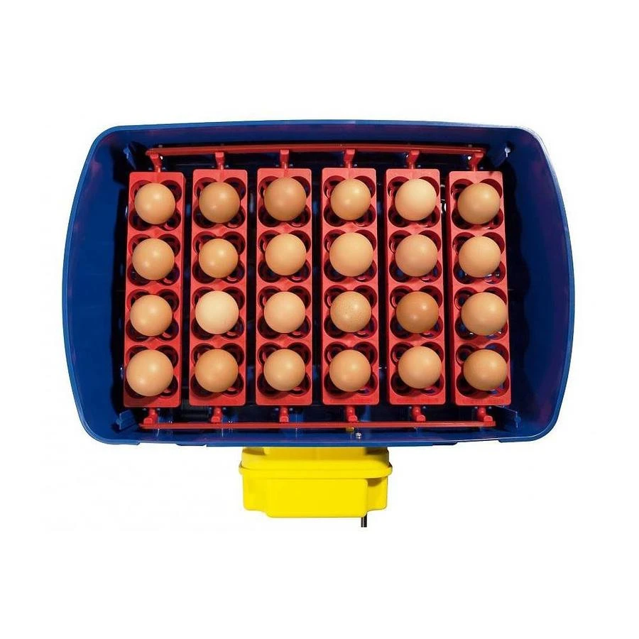 Borotto Real 24 Broedmachine 4 Borotto Real 24 Broedmachine - Afbeelding 4