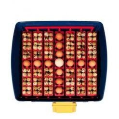 Borotto Real 49 Broedmachine -Trixie || Duvo || EXO TERRA Verkoopwinkel borotto real 49 broedmachine 2