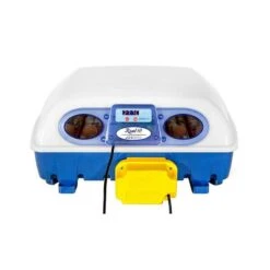 Borotto Real 49 Broedmachine