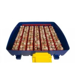 Borotto Real 49 Broedmachine -Trixie || Duvo || EXO TERRA Verkoopwinkel borotto real 49 broedmachine 3