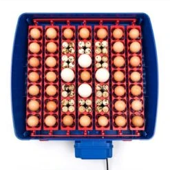 Borotto Real 49 PLUS Broedmachine -Trixie || Duvo || EXO TERRA Verkoopwinkel borotto real 49 plus broedmachine 3