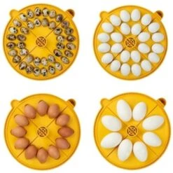 Brinsea Maxi 24 ADVANCE EX Broedmachine 7 Brinsea Maxi 24 ADVANCE EX Broedmachine -Trixie || Duvo || EXO TERRA Verkoopwinkel brinsea maxi 24 advance ex broedmachine 3